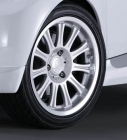 Wheel and Tire Set Design 1/11 Evo